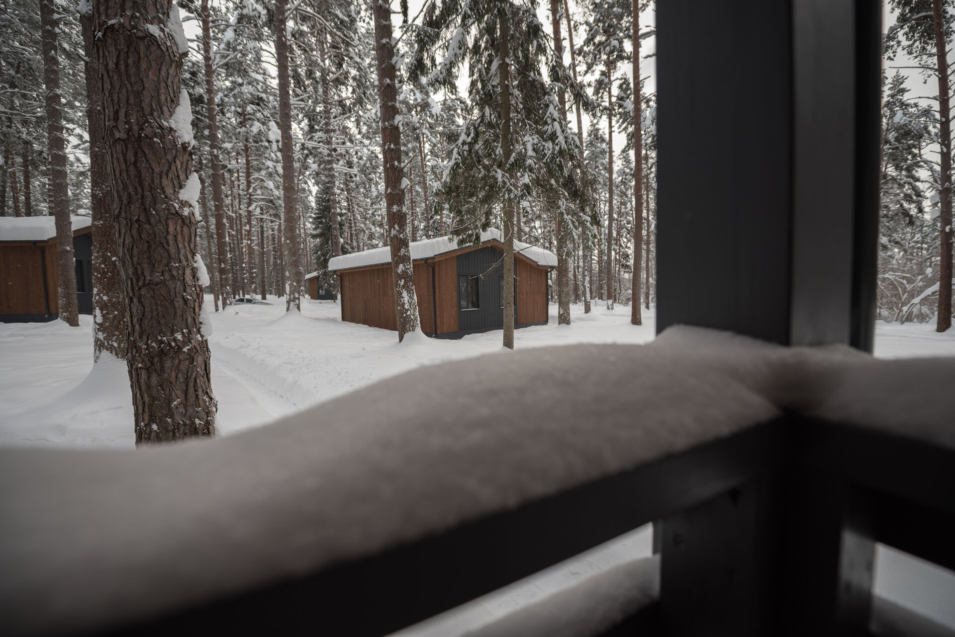 terrace winter view 2